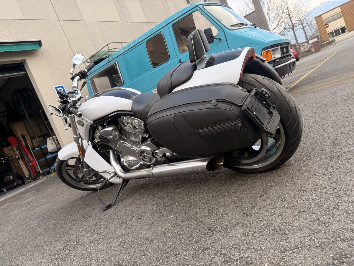 Harley-Davidson Chopper: Harley Davidson VRSFC V-ROD – Usato da Val-d'Illiez venduto da LuckLuc 4