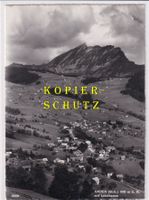 Amden mit Leistkamm /br