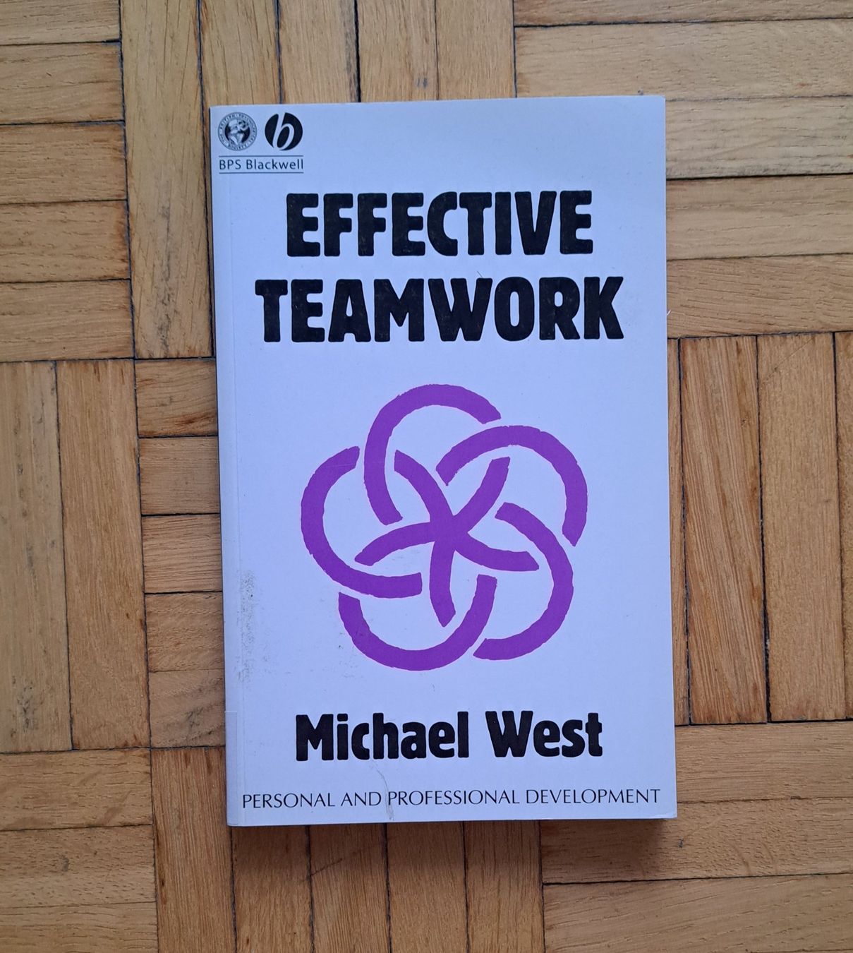 Libri: Effective Teamwork. – Usato da Zürich venduto da nic_dgn5