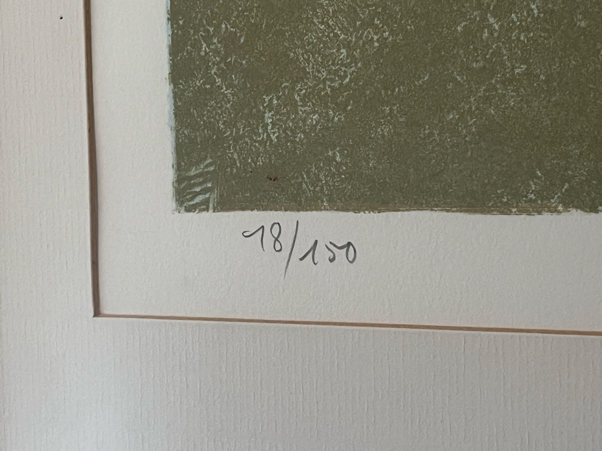 Grafica & Litografie: Marco Richterich Lithographie Handsigniert & Nummeriert – Usato da Horgen venduto da Grizzly83 3