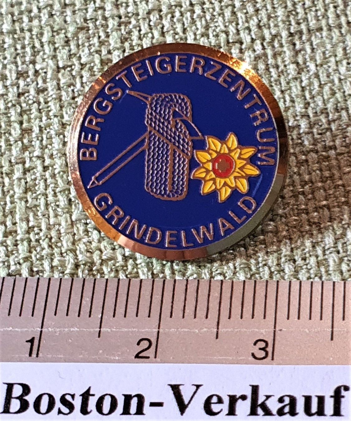 Placchette & Badge: F168  Pin Bergsteigerzentrum Grindelwald – Usato da Reinach BL venduto da Boston-Verkauf 1