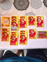 Panini WM 26 Schweizer Mannschaft.Beschreib anschauen.