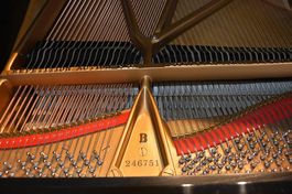 Steinway B211