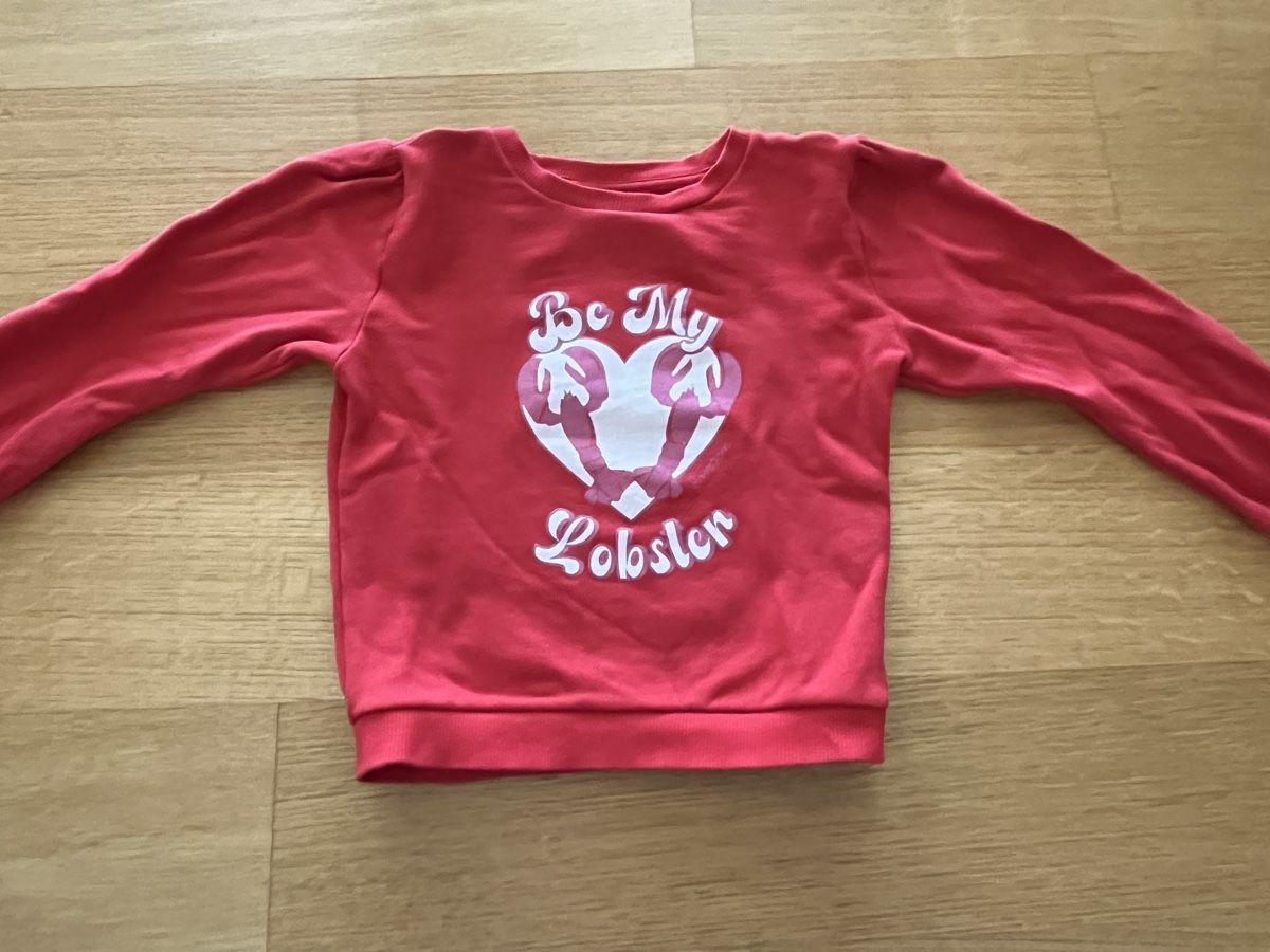 Pulls et sweat-shirts: Pull Bonton 5 ans – D'occasion à boudevilliers par Melzenruf