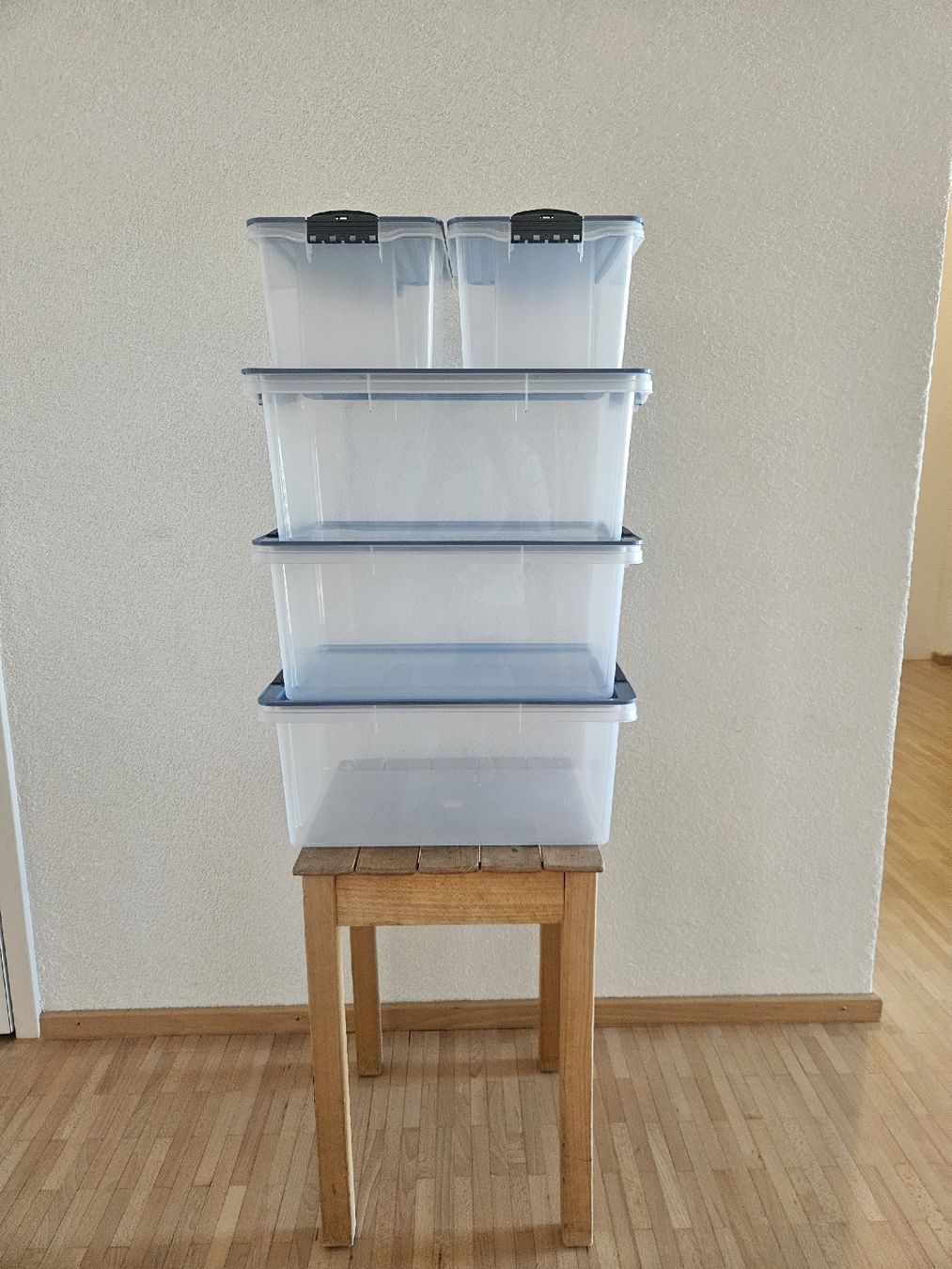 Rotho Contenitori & Simili: Aufbewahrungsboxen – Nuovo (secondo la descrizione) da St. Gallen venduto da Yelrah_1700 1