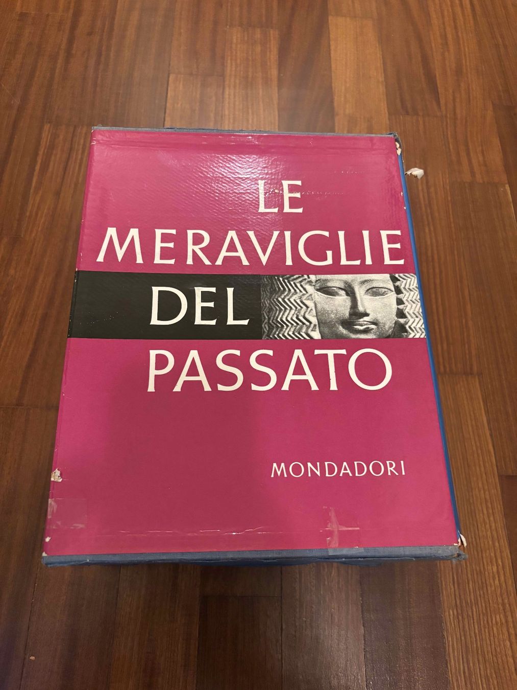Libri: Le meraviglie del Passato – Usato da Lugano venduto da Mark_Young 1