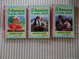 3 alte Romane HEIMATGESCHICHTEN - grosse Schrift - M245