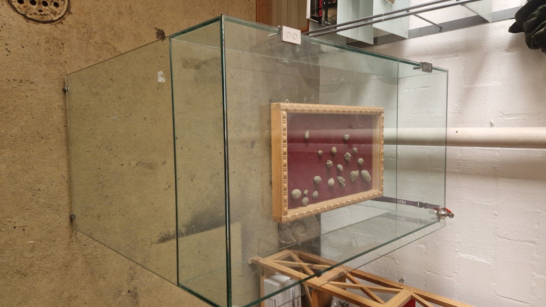 Vetrine: Glasvitrine – Usato da Niederhasli venduto da rehauge01 7