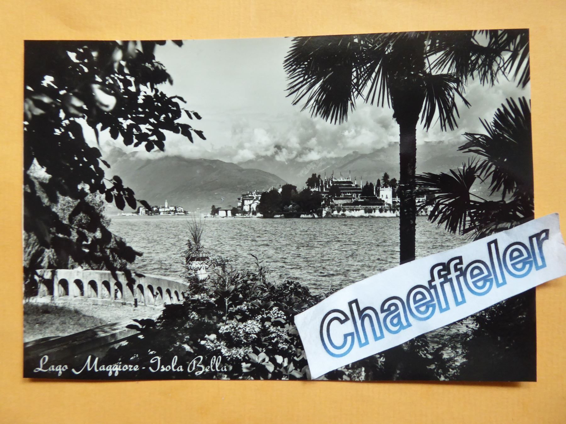 Ansichtskarten: Lago Maggiore - Jsola Bella – Neu (gemäss Beschreibung) aus Zürich von Chaeffeler