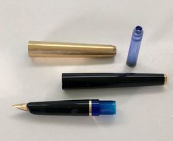 Plume Parker (Noir et Or)
