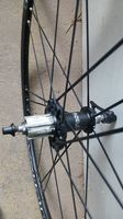 Roue Campagnolo 