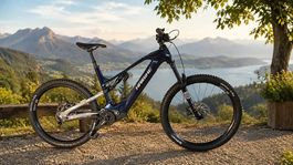 E-Bike Neuwertig Haibike Voll Carbon 