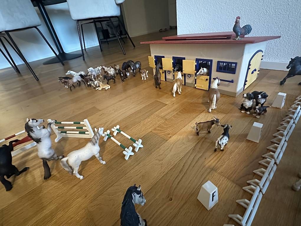 Giocattoli: SCHLEICH - Pferdehof – Usato da Sisseln AG venduto da mar_f279 1