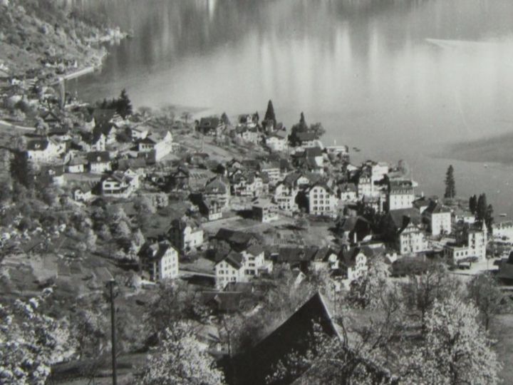 Cartoline postali: WEGGIS LU AK VOGELSICHT – Usato da Ettingen venduto da Hausi4711 1