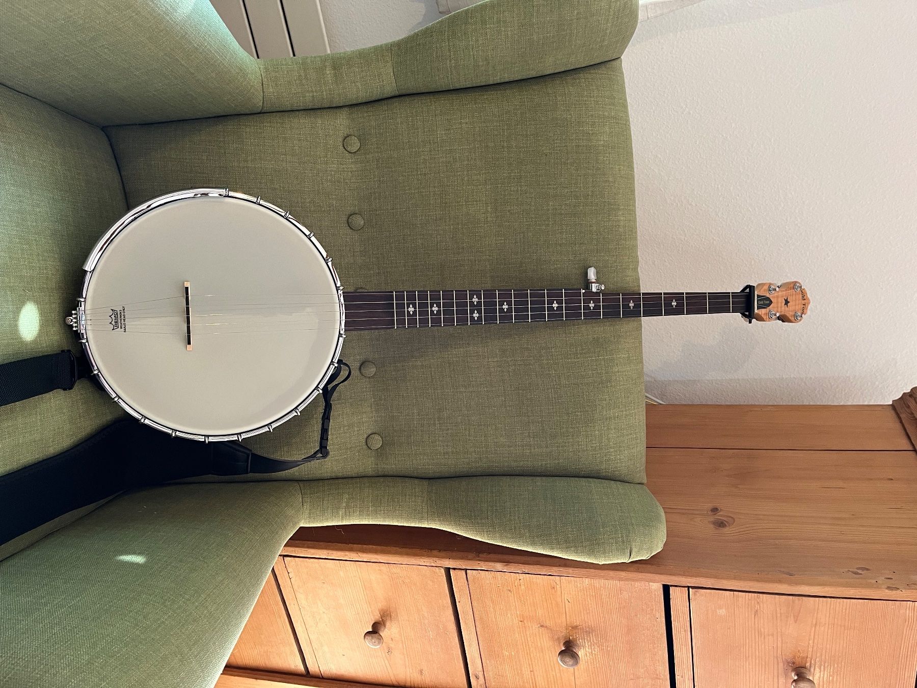 Strumenti musicali: Gold Tone MN-150 LN – Usato da Winterthur venduto da iri_9qr6 1