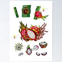 A4 Frucht Druck von Handgemalte Botanische Drachenfrucht
