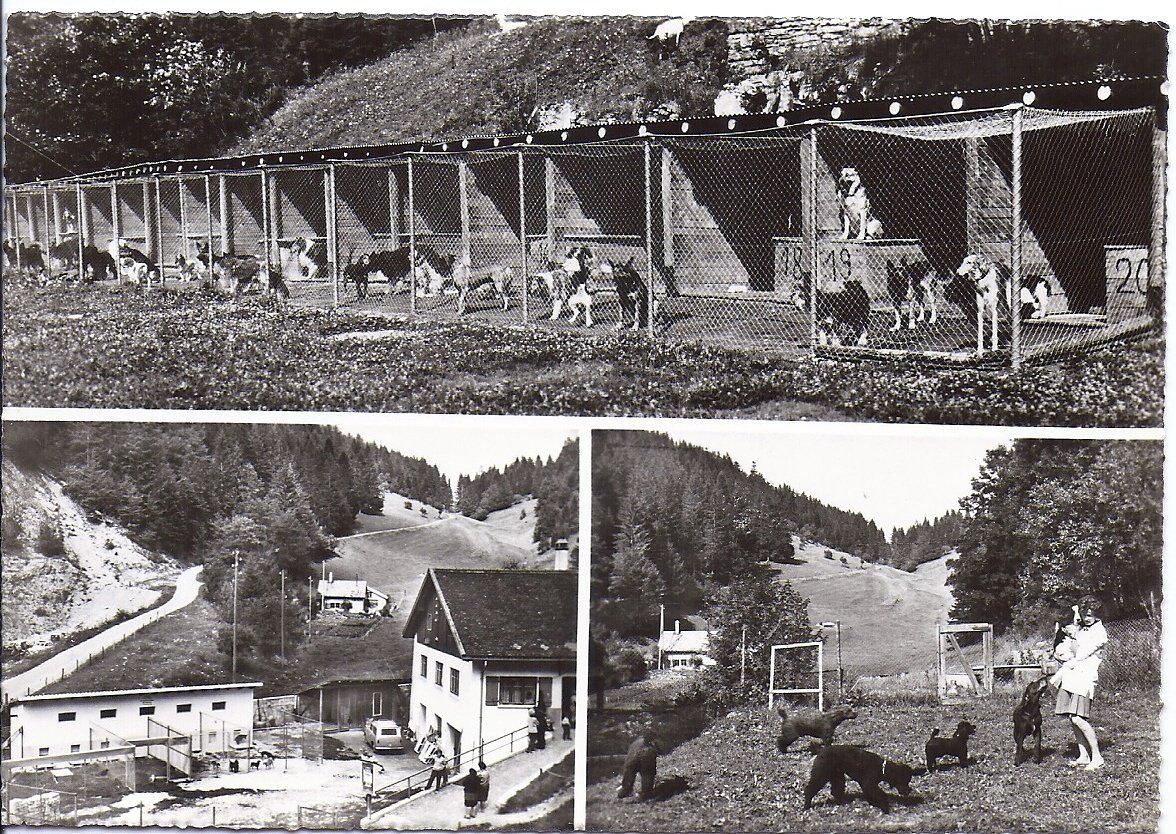 Ansichtskarten: LES CONVERS - GARE, pension chiens et chats – Neu (gemäss Beschreibung) aus Les Verrières von Scampi0
