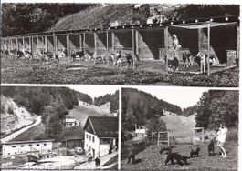 LES CONVERS - GARE, pension chiens et chats