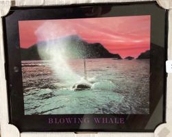 Whal-Bild "A Temperamentally Whale" o „Blowing Whale“!