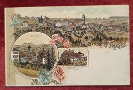 Gruss aus Trogen 1899