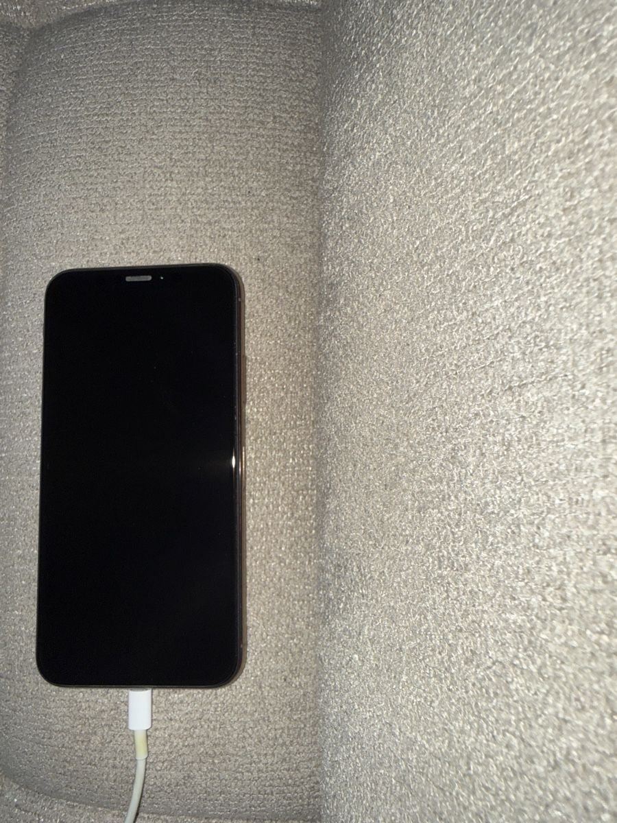Apple Telefoni cellulari / Smartphones: Iphone XS mit 512 GB – Usato da Ermatingen venduto da Alina.W 2
