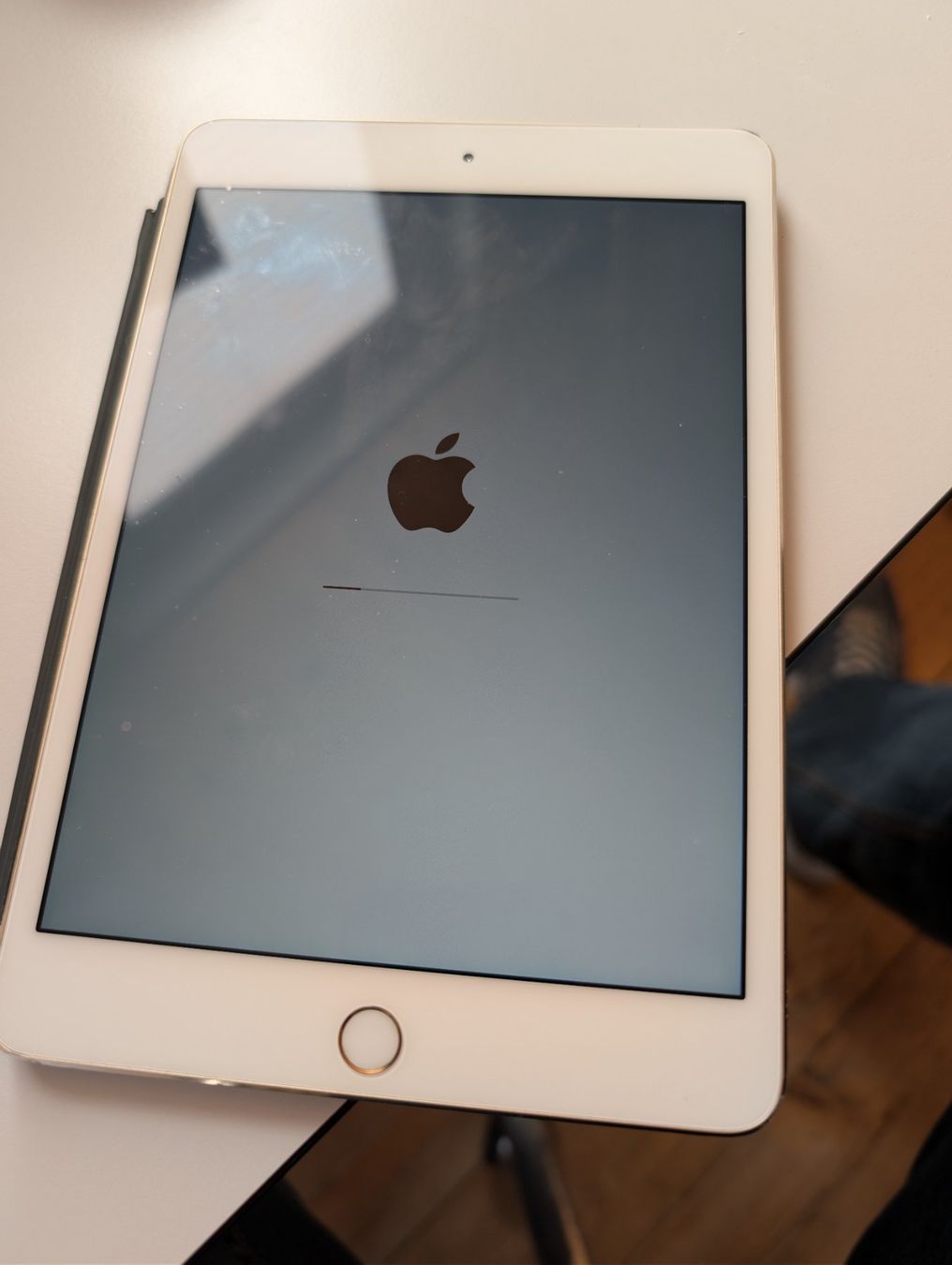 Apple Tablet PC: Ipad Mini 4 – Usato da Wynau venduto da Zebrafurz