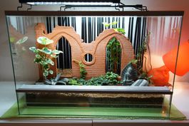 Terrarium