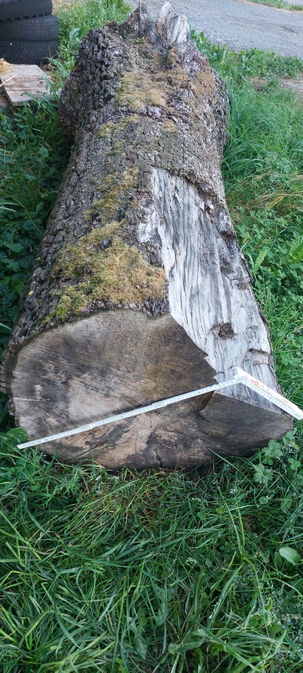 Holzartikel: Birnen Baumstamm – Gebraucht aus Herlisberg von Johndeere92 4