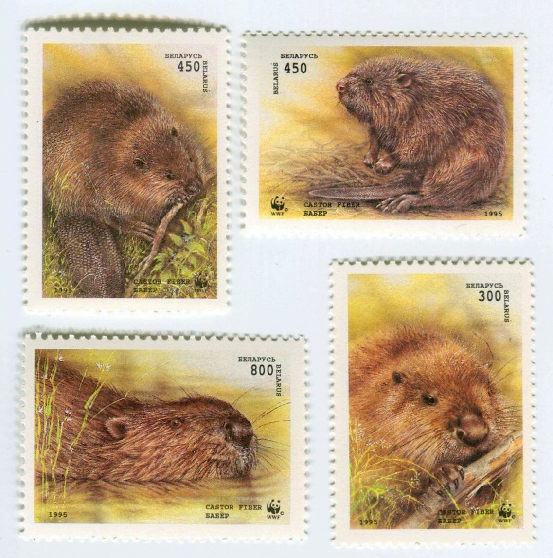 Alle Briefmarken: Briefmarken "Biber". Weissrussland. – Neu und originalverpackt aus Basel von Butsch5