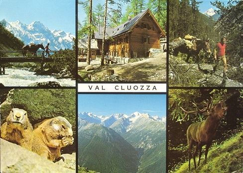 Cartoline postali: ZERNEZ Schw. Nationalpark Val Cluozza – Usato da Jona venduto da philajona