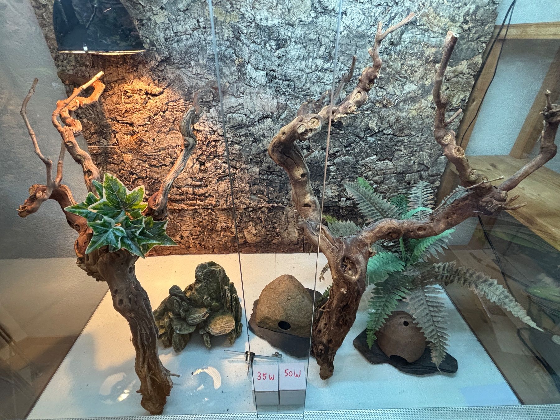 Terrarium: Glas Terrarium inklusive Zubehör – Gebraucht aus Lyss von klopferli9 2