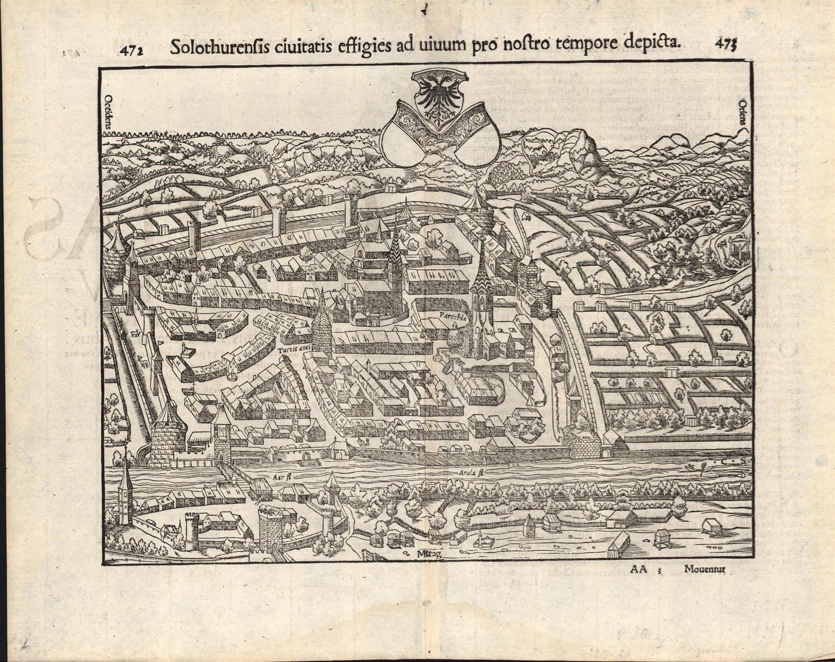 Stiche: Solothurn Originalholzschnitt 1550 – Gebraucht aus Rafz von Helvet32