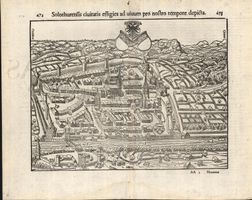 Solothurn Originalholzschnitt 1550
