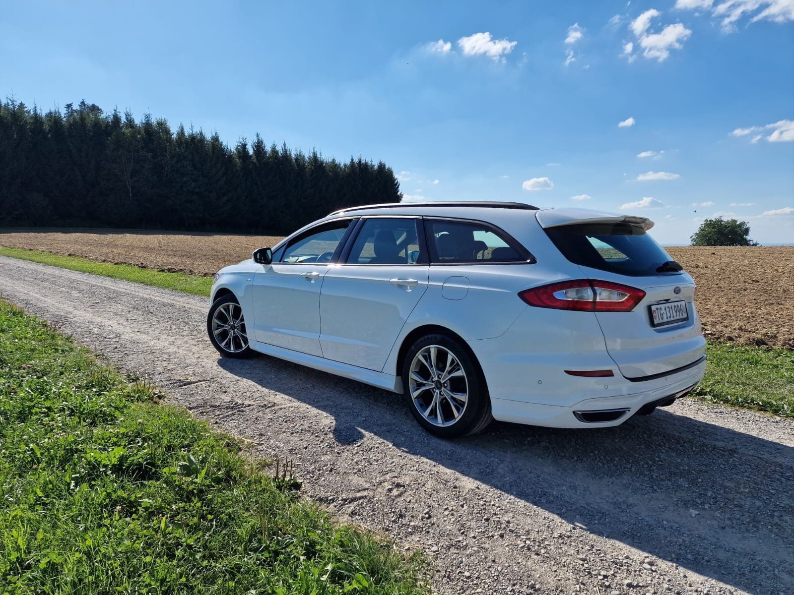 Ford Automobili: Ford Mondeo  ST line # – Usato da Wuppenau venduto da Gastro-Wuppenau 5