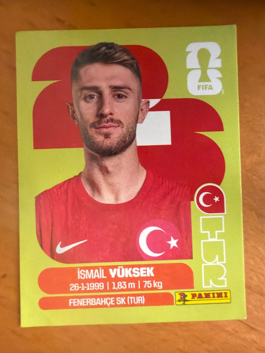 Panini Sammelbilder & Trading cards: Panini TUR10 – Neu (gemäss Beschreibung) aus Susten von Rechnun