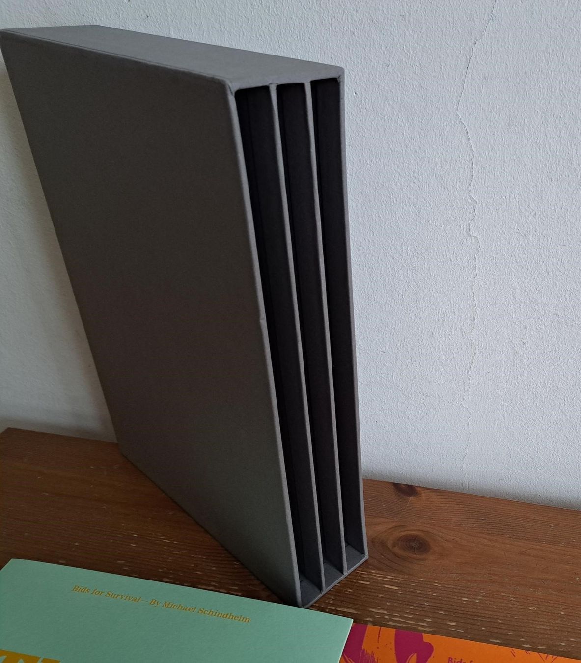 Libri: Bids for Survival by Michael Schindhelm KBH.G - Roots ... – Usato da Basel venduto da Patiscat 3