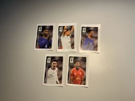 Panini Sticker WM 2026, Coca Cola