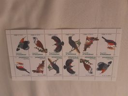 Bloc de 12 timbres Somaliland, oiseaux tropicaux, neuf!