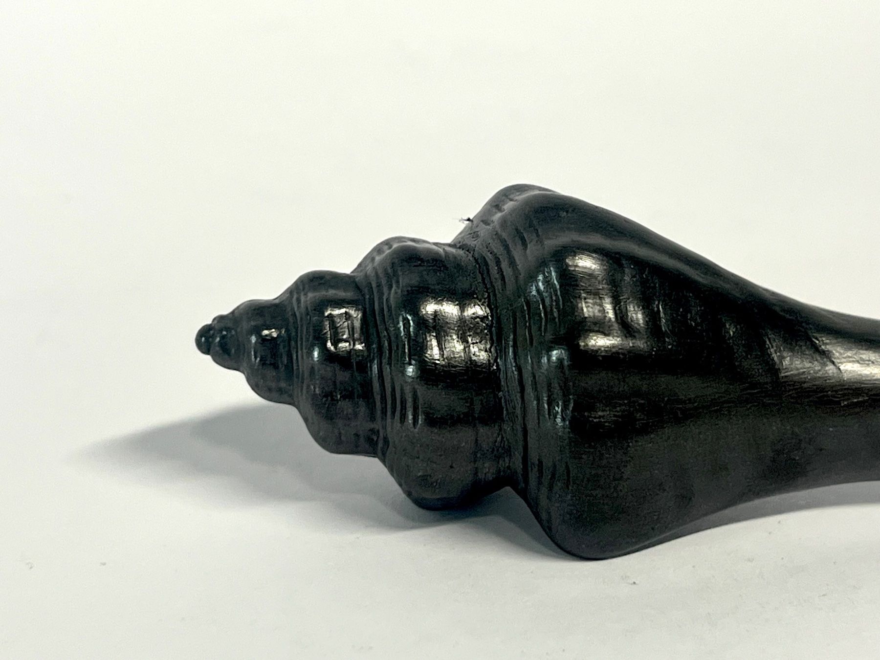 Fossili: BATLE STUDIO Small Shell Graphit-Schreibskulptur OVP – Usato da Zürich venduto da Arche_Brockenhaus 3