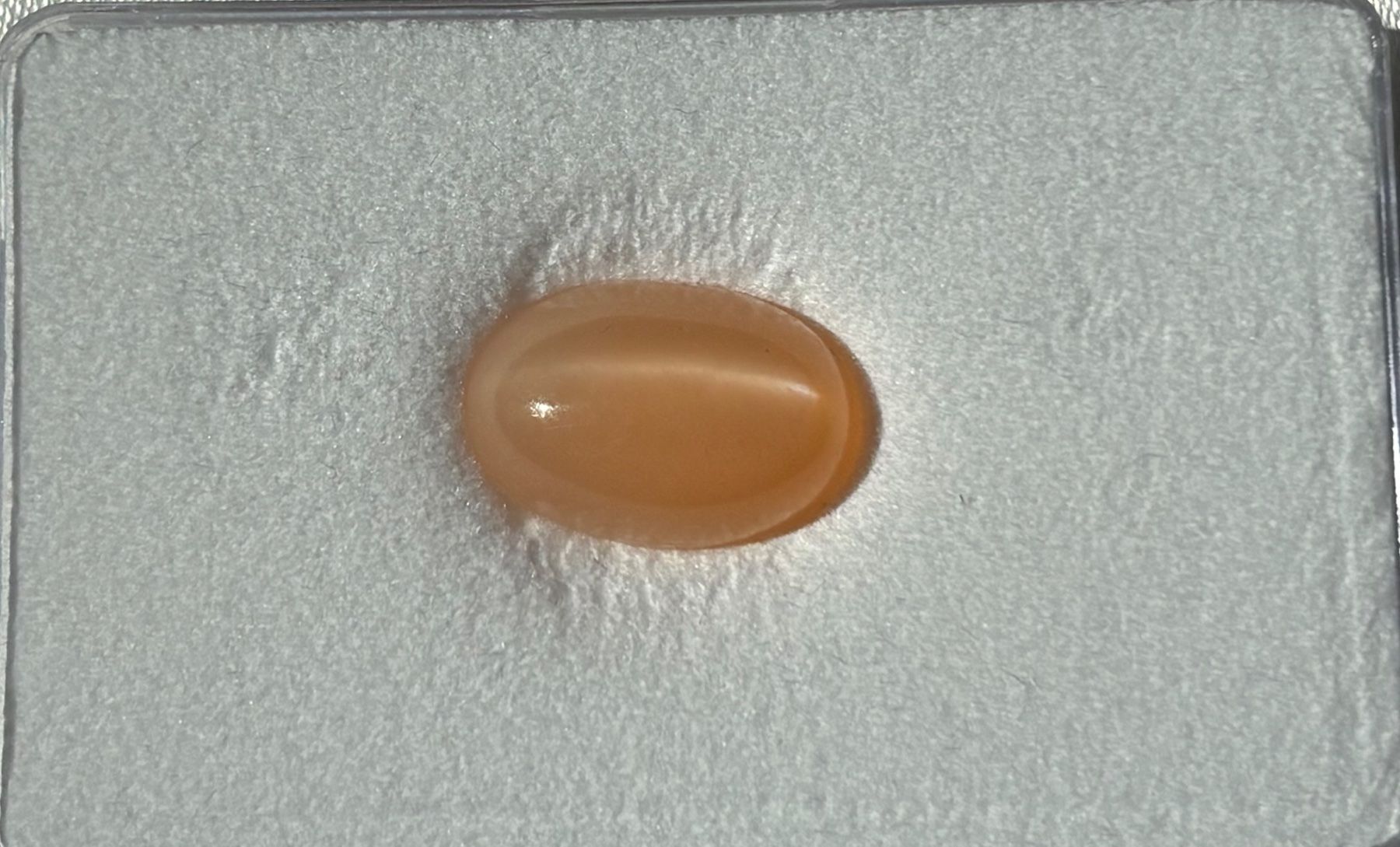 Pietre preziose: Mondstein 6.7 ct. – Usato da Brugg AG venduto da lau_9rvy 1