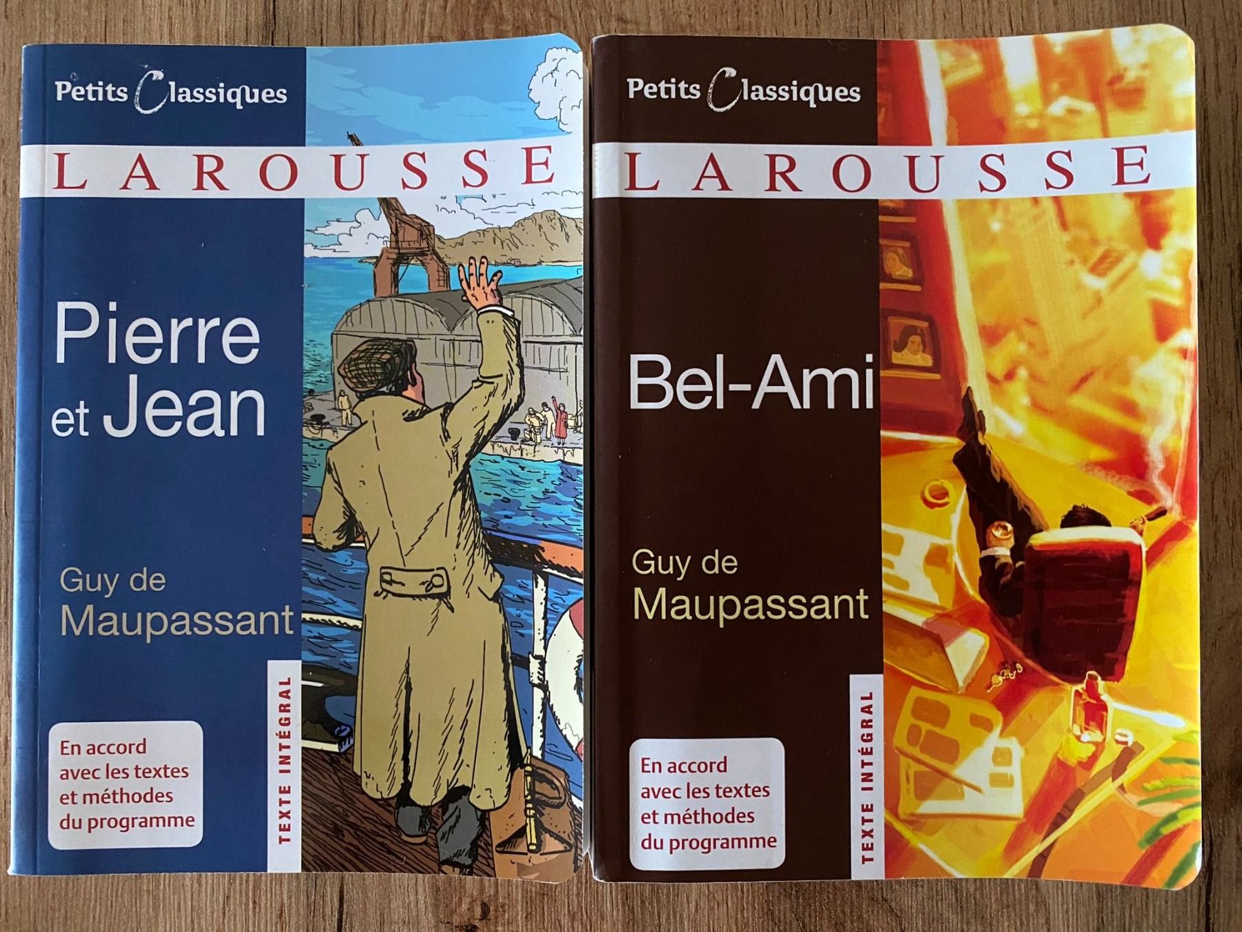 Libri: 2 Libri Larousse & 1 di Molière – Usato da Uster venduto da faandrei