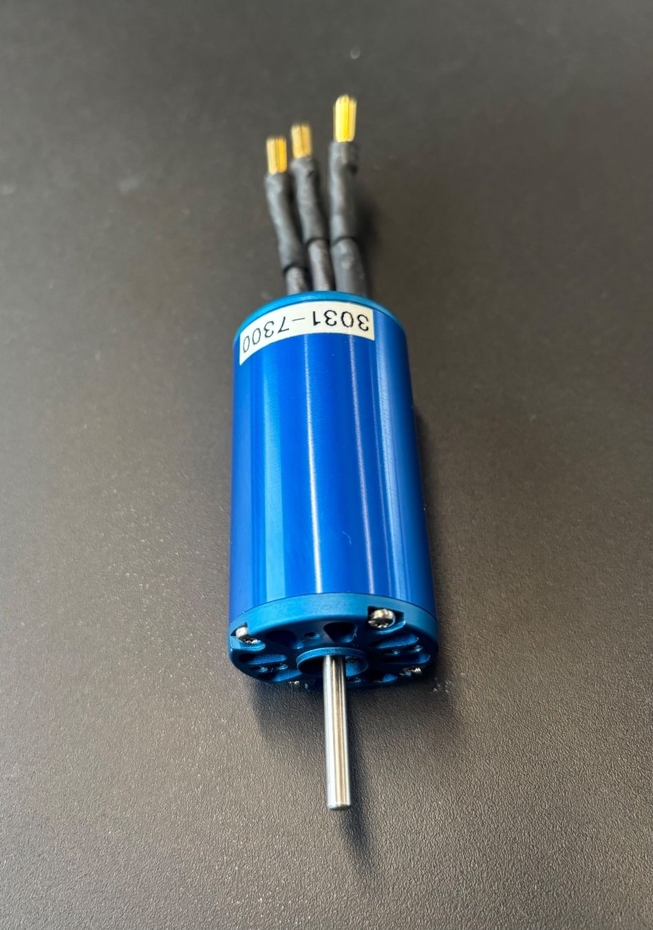 Moteurs: Leomotion BL E-Motor L3031-7300 – D'occasion à Oberwil b. Büren par Kueseschneider 1