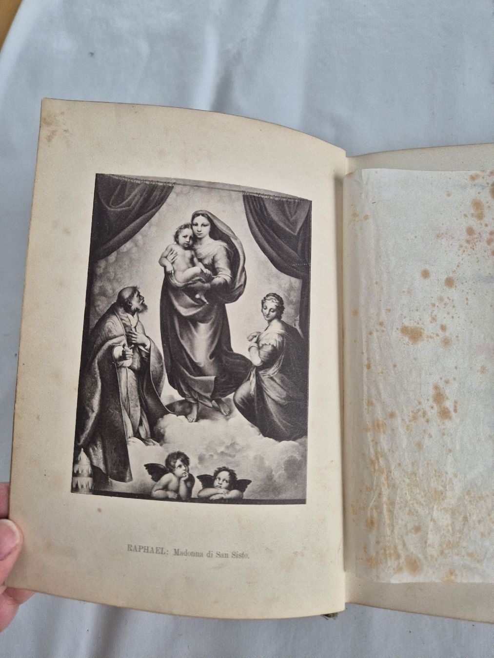 Libri: Buch, In treuer hut von gerok – Usato da Vilters venduto da Fleiflomi 3