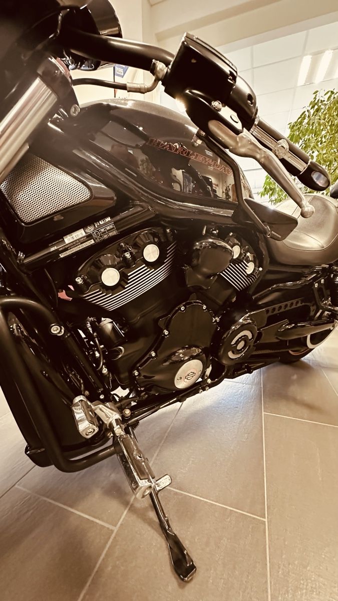 Chopper: Harley Davidson VRSCDX Night Rod Special – Gebraucht aus Liestal von 4410Liestal 7