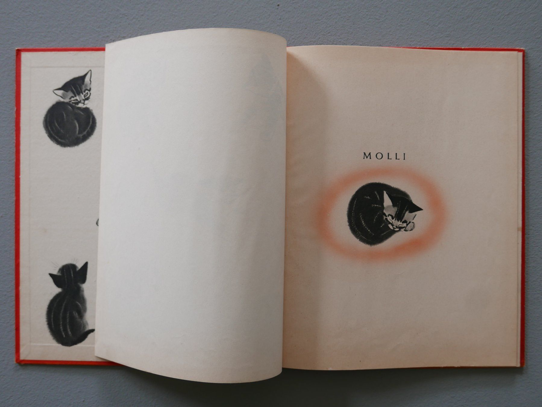 Libri: ANTIKES KINDERBUCH MOLLI KATZENGESCHICHTE – Usato da Balgach venduto da Zwischenraum 2