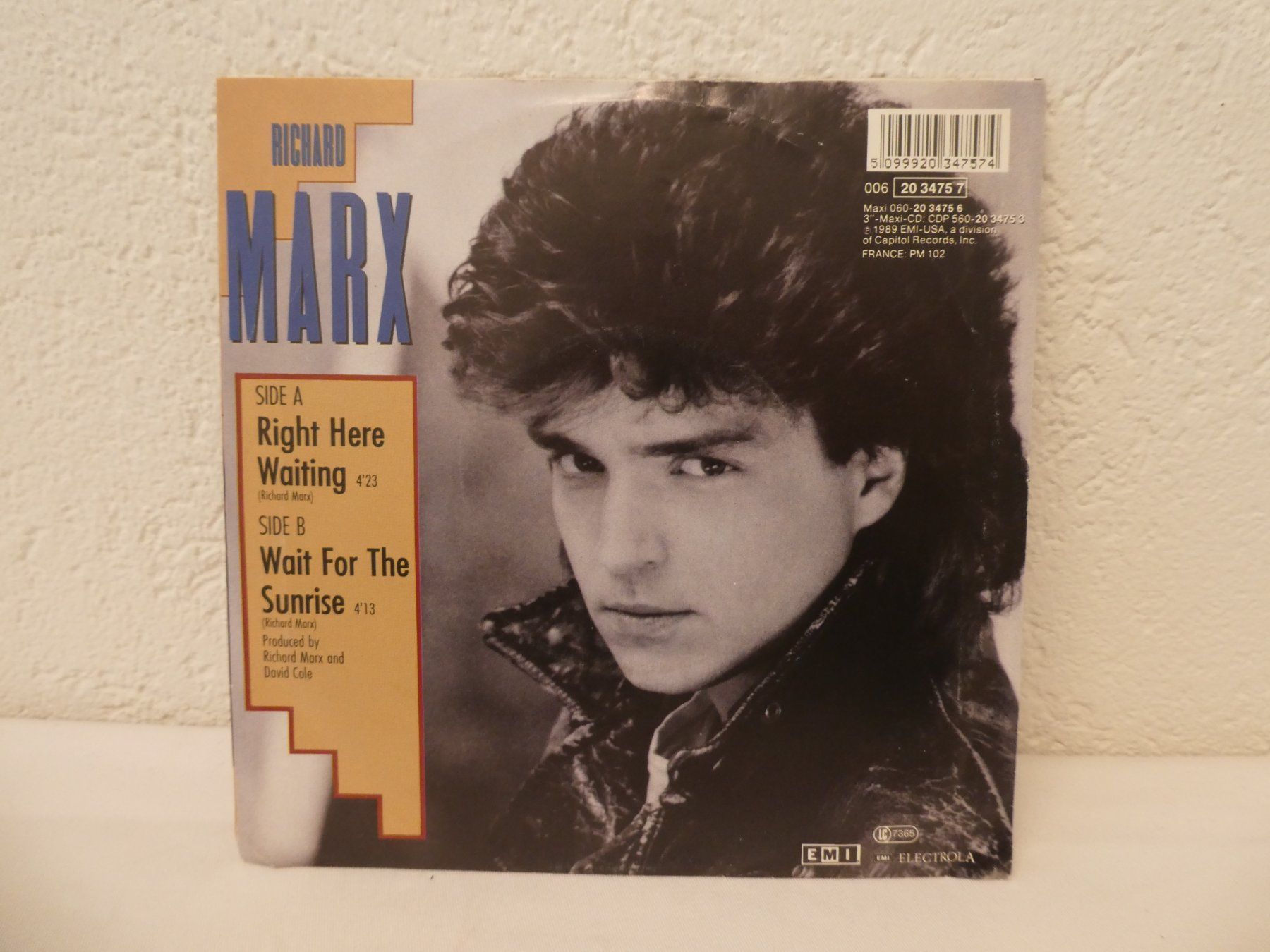 Dischi in vinile: Richard Marx Right Here Waiting Single – Usato da Tann venduto da Charly65 1
