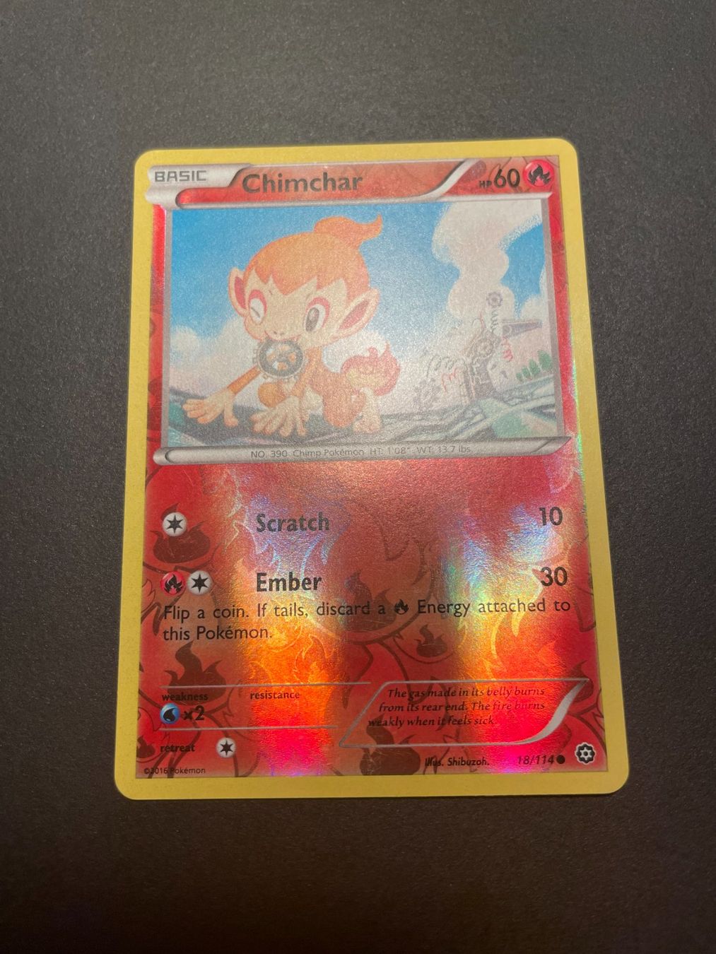 Pokémon Carte collezionabili: Chimchar 18/114  Reverse Holo X&Y Steam Siege – Usato da Zürich venduto da pokemon_cards