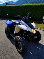 Polaris Scrambler 500E