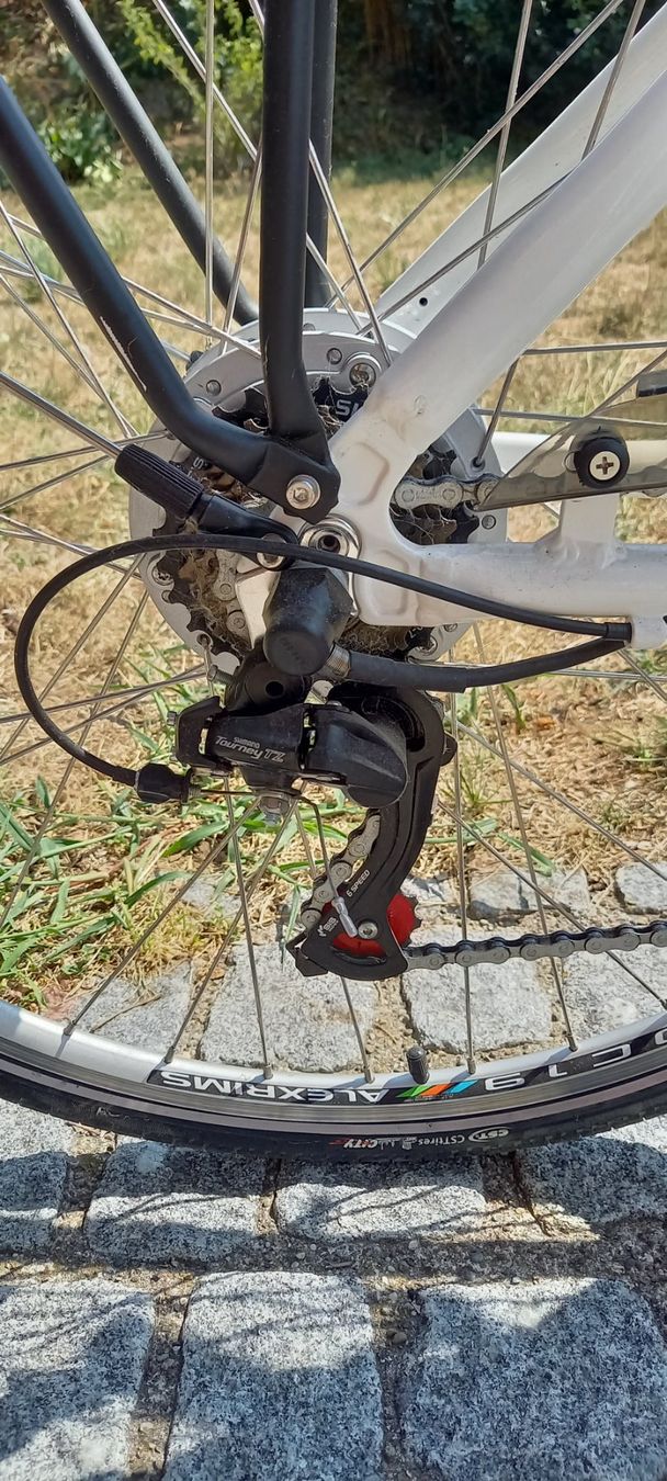 Leopard Velos: E Velo city cruiser – Gebraucht aus Höri von bsc_68fw 7
