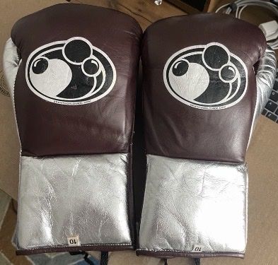 Guanti & manicotti: Grant Boxhandschuhe 10OZ Original – Usato da Wädenswil venduto da LMRicardo
